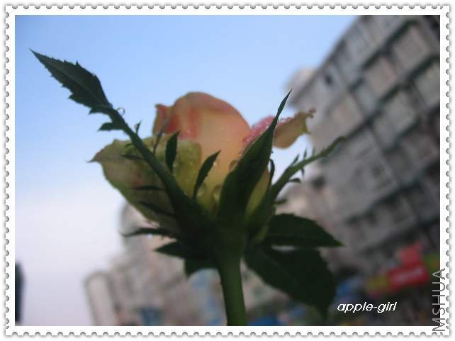 ��Ƭ20080711 049.jpg