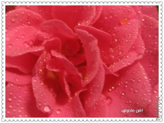 ��Ƭ20080628 007.jpg