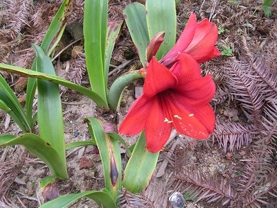 DSCN7770.JPG