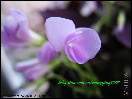 nEO_IMG_7,7�� 025.jpg