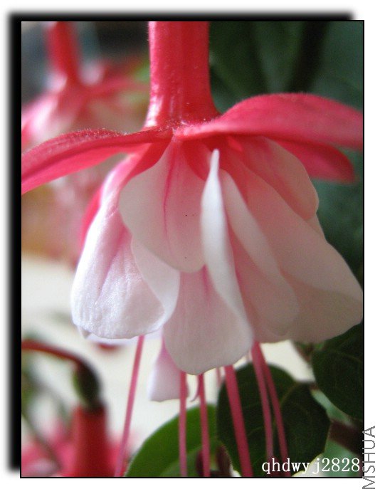 ���� 380.jpg