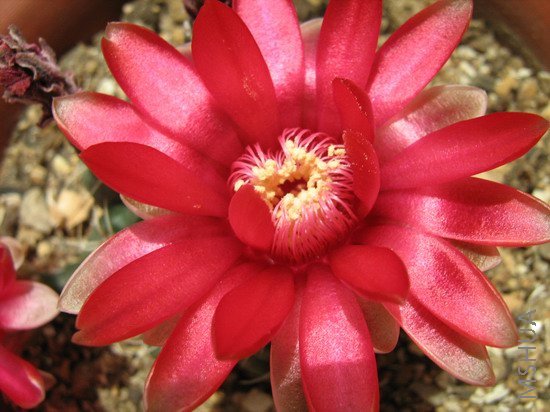 ���� 314.jpg