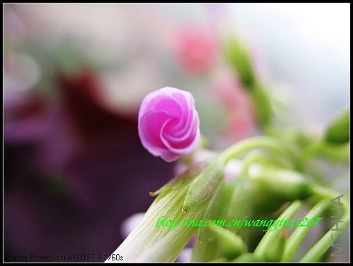 nEO_IMG_7,7�� 014.jpg