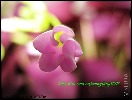 nEO_IMG_7,7�� 017.jpg