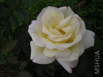 DSCN7902.JPG