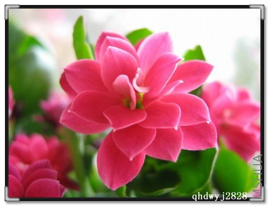 ���� 698.jpg