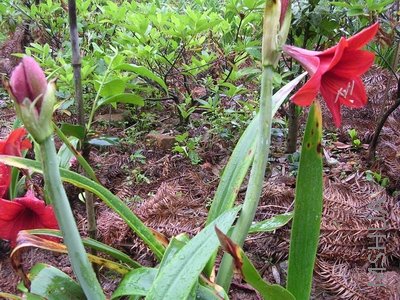 DSCN7937.JPG