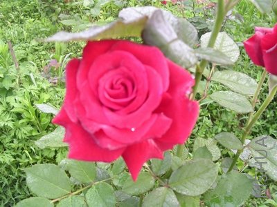 DSCN7862.JPG