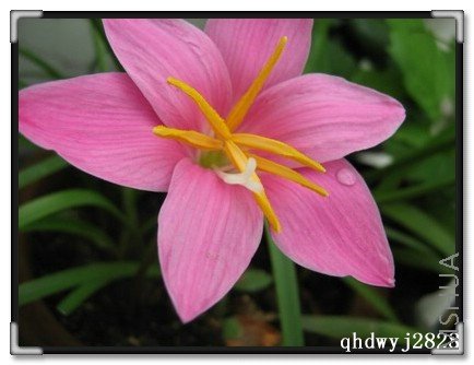 ���� 686.jpg