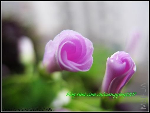 nEO_IMG_7,7�� 021.jpg