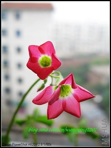 nEO_IMG_7,7�� 016.jpg