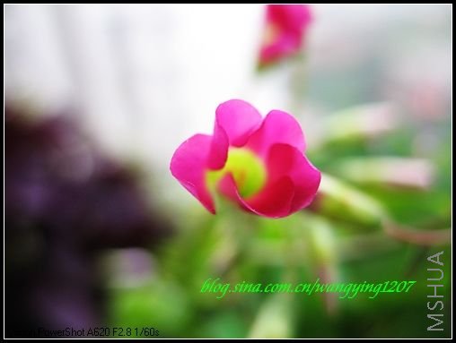 nEO_IMG_7,7�� 008.jpg