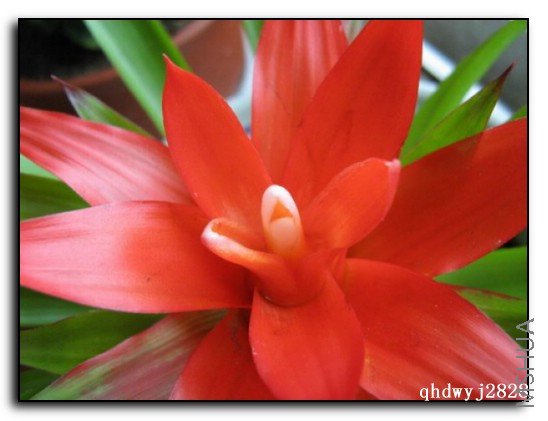 ���� 565.jpg