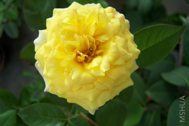 ������С 080713 004.jpg