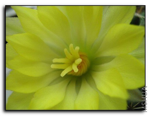 ���� 636.jpg