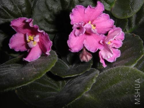 ���ذ������ϱ��ڷۺ���ذ�