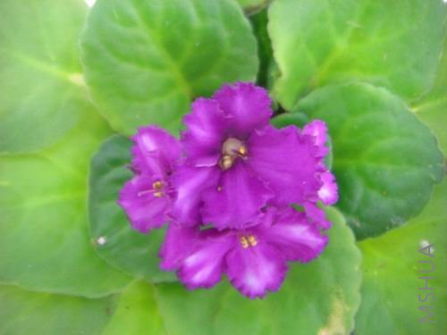 ��һ��ͬ1054�е����ƶ��г��ɵ�Ǳ�������Ϻ�ɫ��