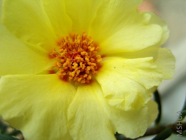 ���꣬������