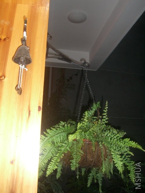 ��ת CIMG8498.JPG