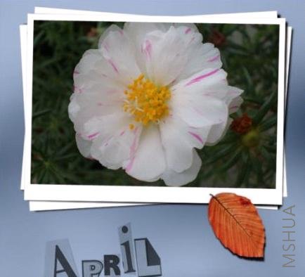 �Ǻ� �������䷹