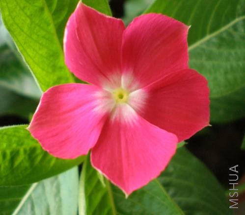 Ư���ĳ��� ӣ��   ��������������ֵ� ���������ﳬ��ֵ�� �Ǻ�