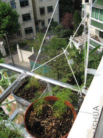 ����������̨�ģ�������²��ϣ�������С٪��һ������ô�ȵ������ʩ����