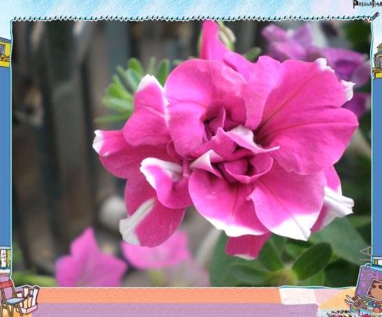 ��ţ   �ǲ��Ǳ���ǰ����Щ