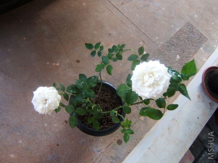 �����Ҽҵġ���ס������������ţ��������㣡