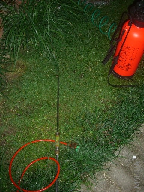 ��ת CIMG8640.JPG