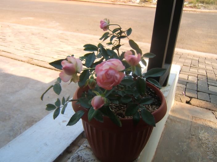 �����ꡱ�����쿪�˵������ˣ�������û��Ŷ��