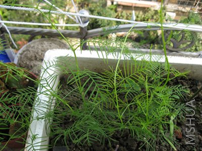 ������̨ÿ������3��Сʱ�������⣬�о�����Ҫ���ϱߵĺá�