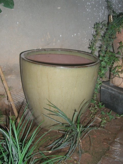 ��ת CIMG8680.JPG