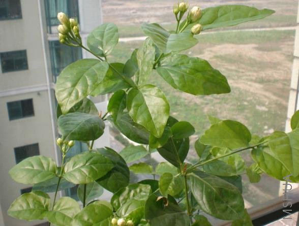 ɹ����������   ����һ����һ��