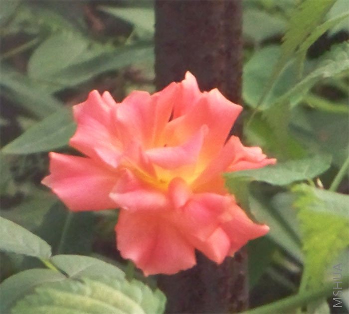 �������Ϊ����������,����ûɶ��