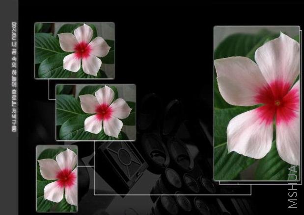 �׻����۵Ĵ���  ���껹Ҫ�����ֵ�