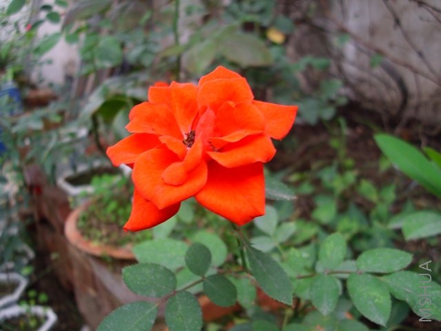 ��Ƭ 017.jpg