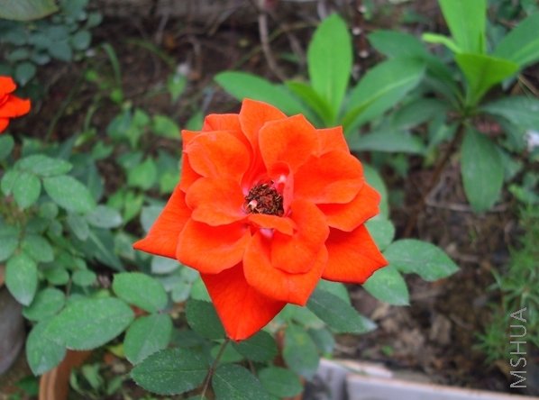��Ƭ 016.jpg