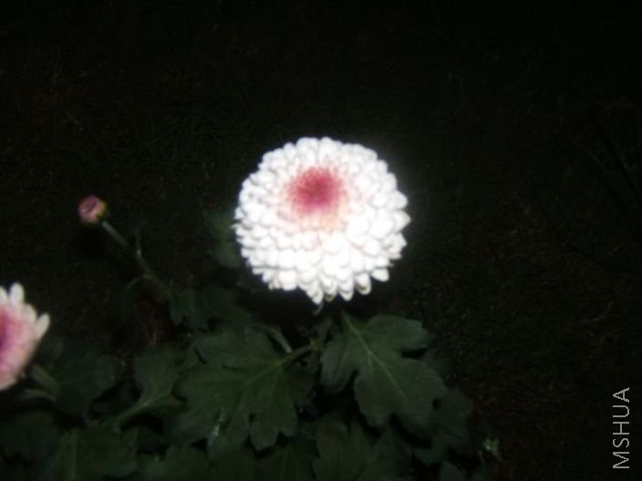 ��Ƭ 054.jpg