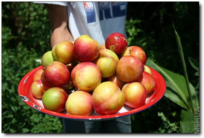 �ͺ�ˮ��,��ժ��,��!