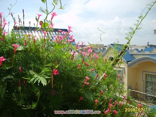 S6003677.jpg