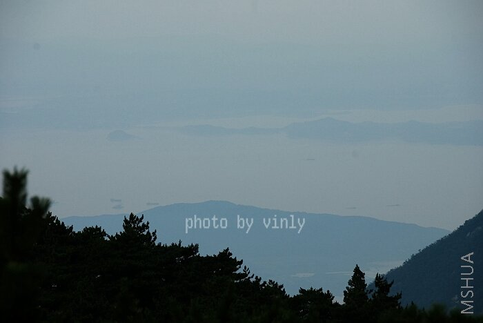 Զ����۶����