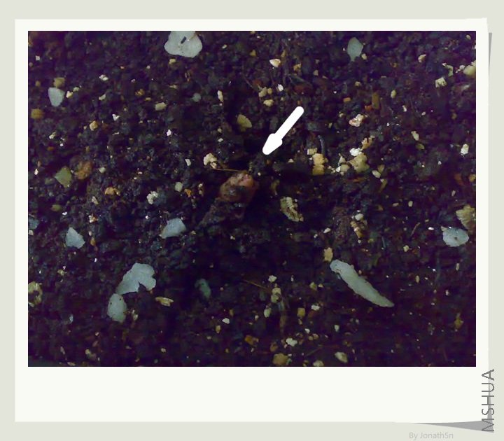 200807204145.jpg