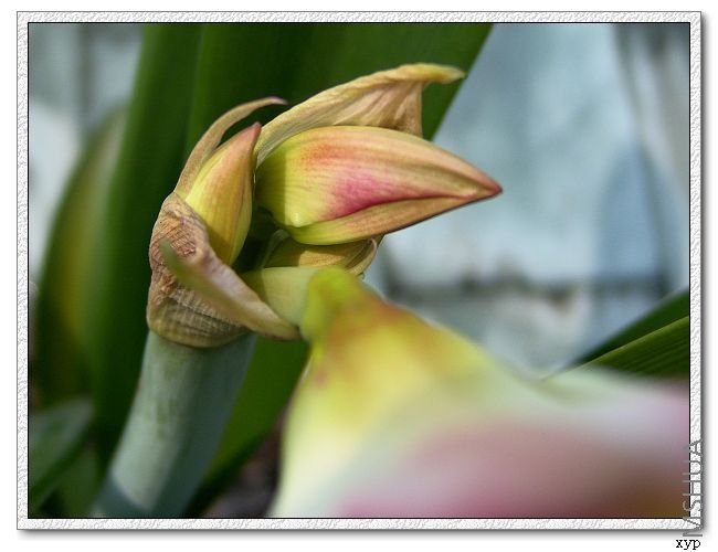 �⼸�� �����ŵ���