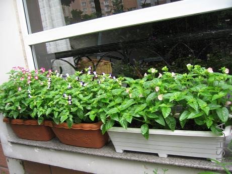 �������Ѳ��ࡣ