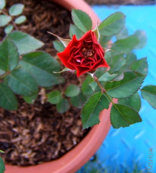 ��Ƭ 086.jpg