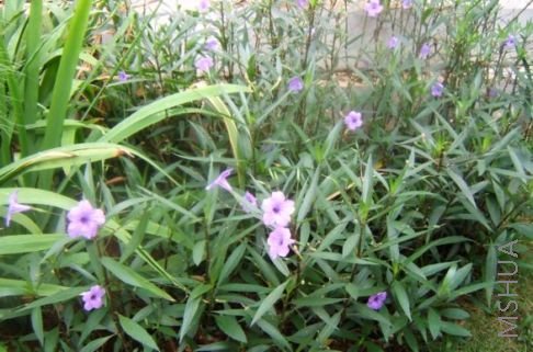 ��Ƭ 090.jpg
