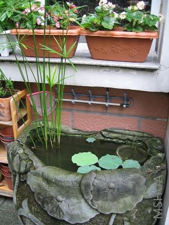 ˮ��������