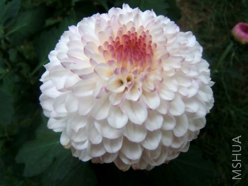 ����һ�䣡���ཱུģ��ɰ�������Ӵ��