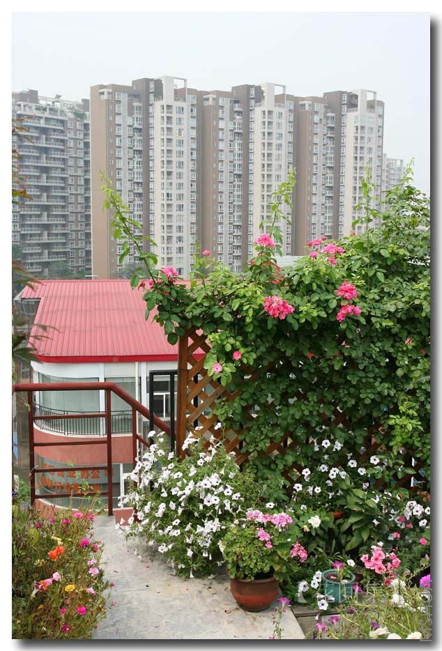 IMG_3472 ����.jpg