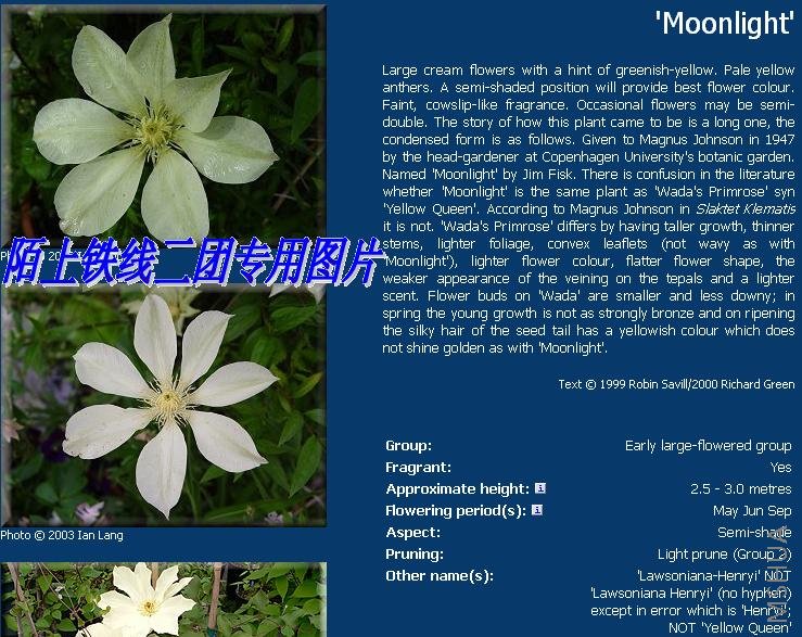 c12moonlight.JPG